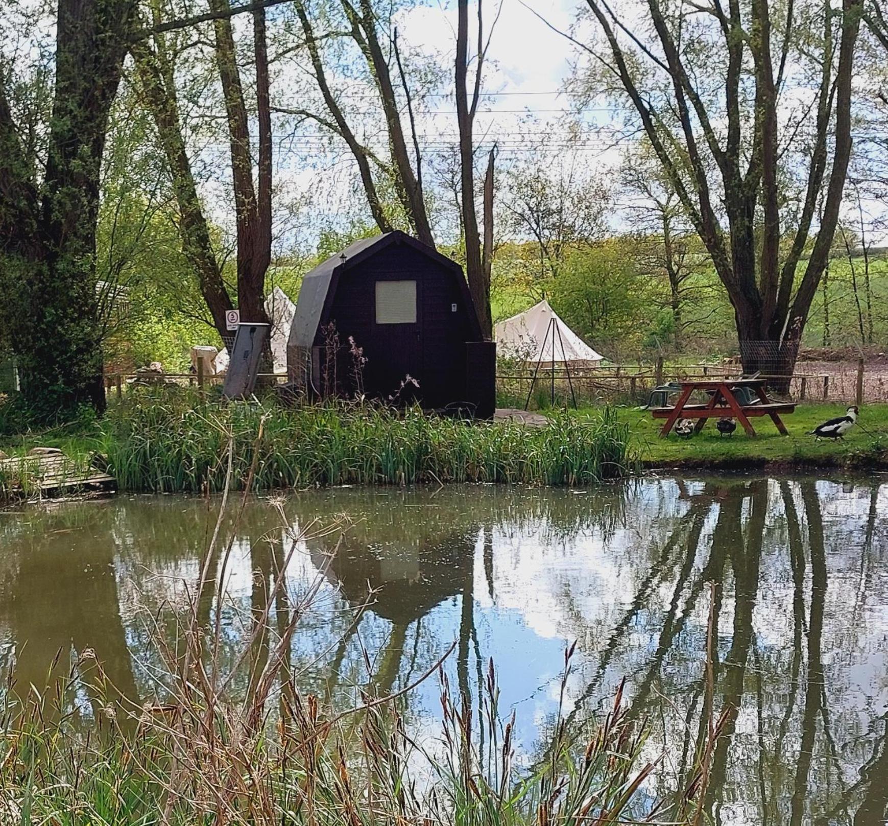 Rum Bridge Fisheries "The Cabin" Hotel Clare Exterior foto